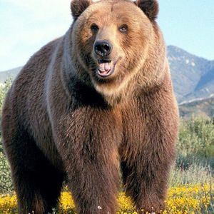 Meet your Posher, Bryce